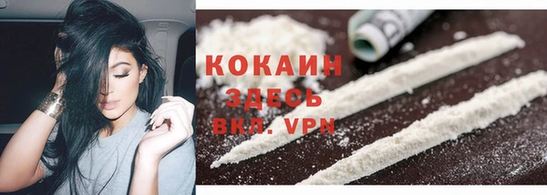 прущая мука Арсеньев