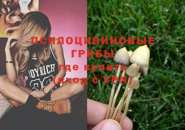 прущая мука Арсеньев