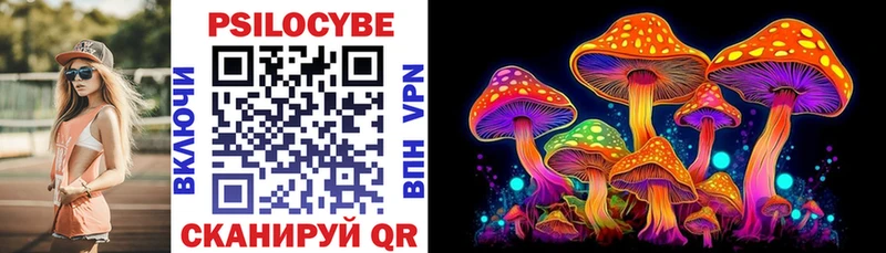 Псилоцибиновые грибы Cubensis Александров